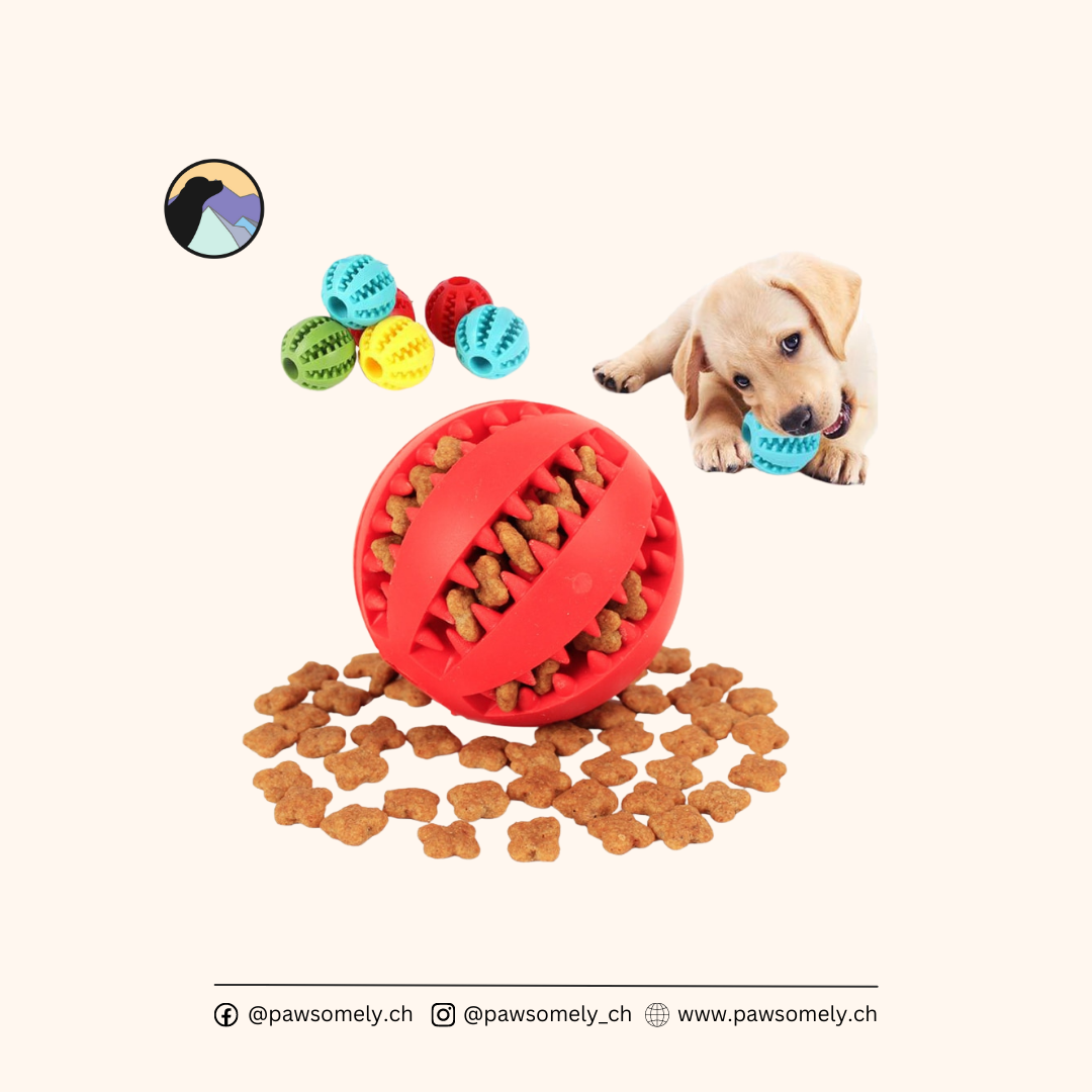 swisspet Hundespielzeug Dental-Fun Ball