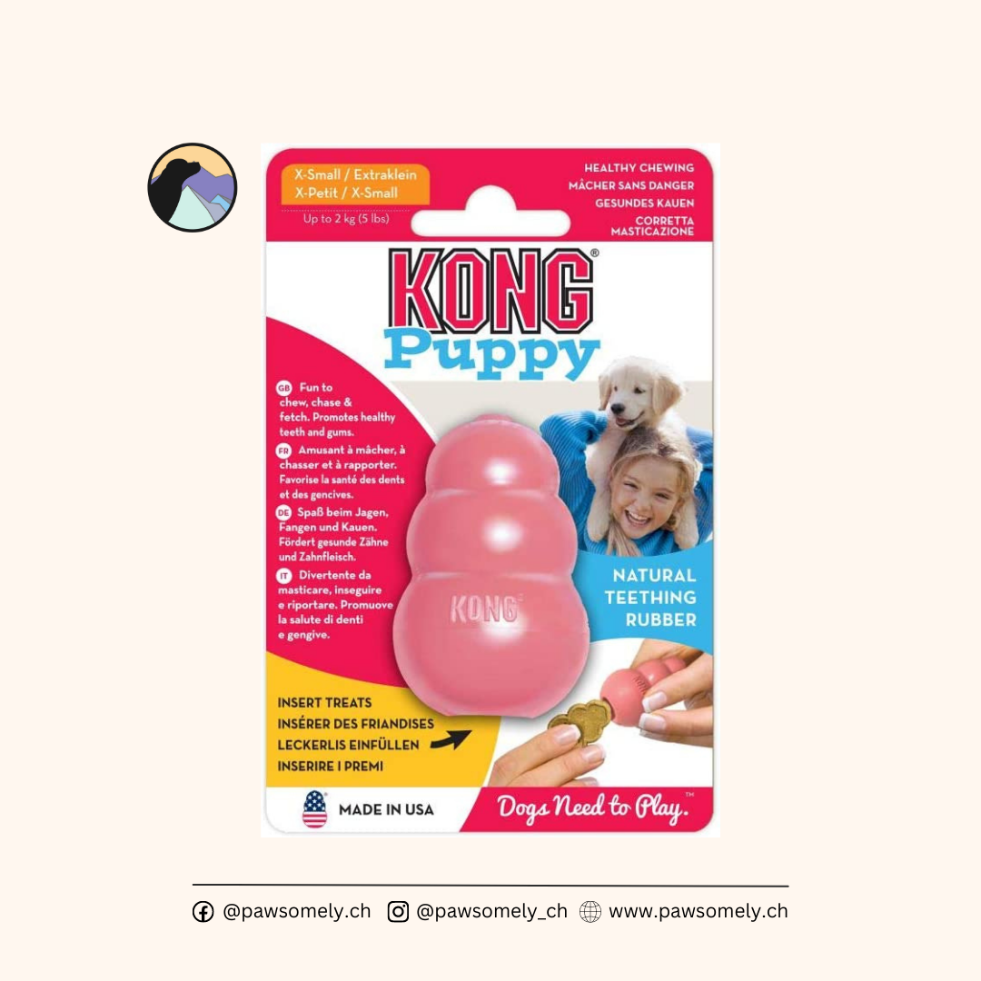 KONG - Puppy Chew Toy - Blau/Pink