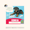 KONG - Puppy Chew Toy - Blau/Pink