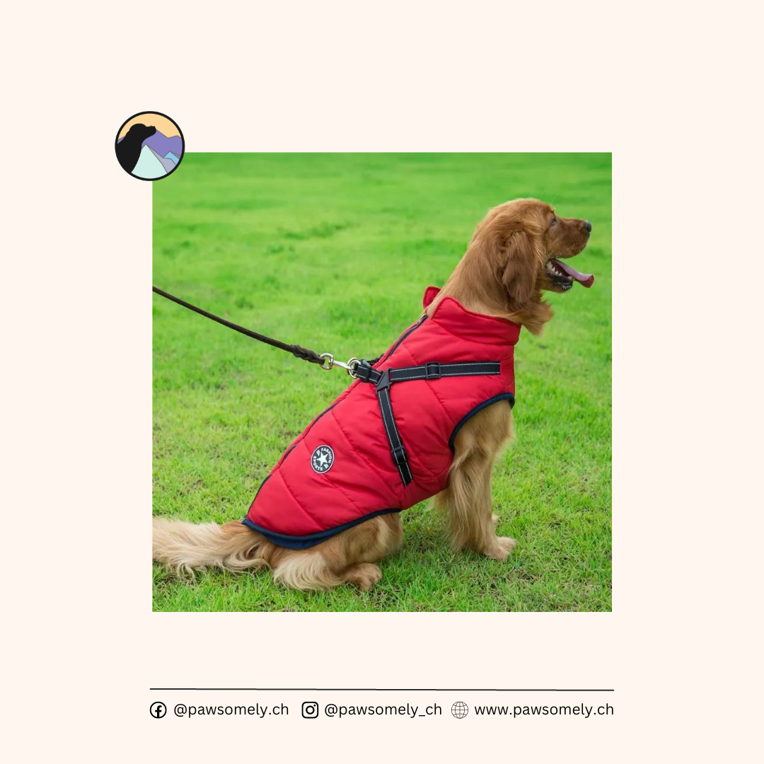 Wasserdichte Hundejacke