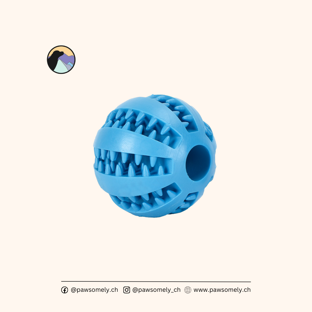 swisspet Hundespielzeug Dental-Fun Ball