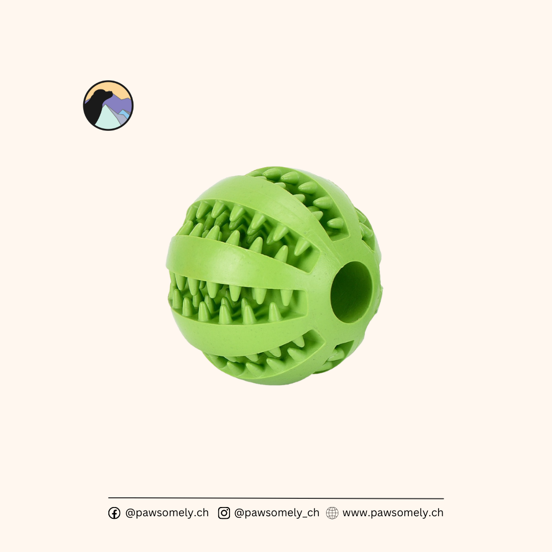 swisspet Hundespielzeug Dental-Fun Ball