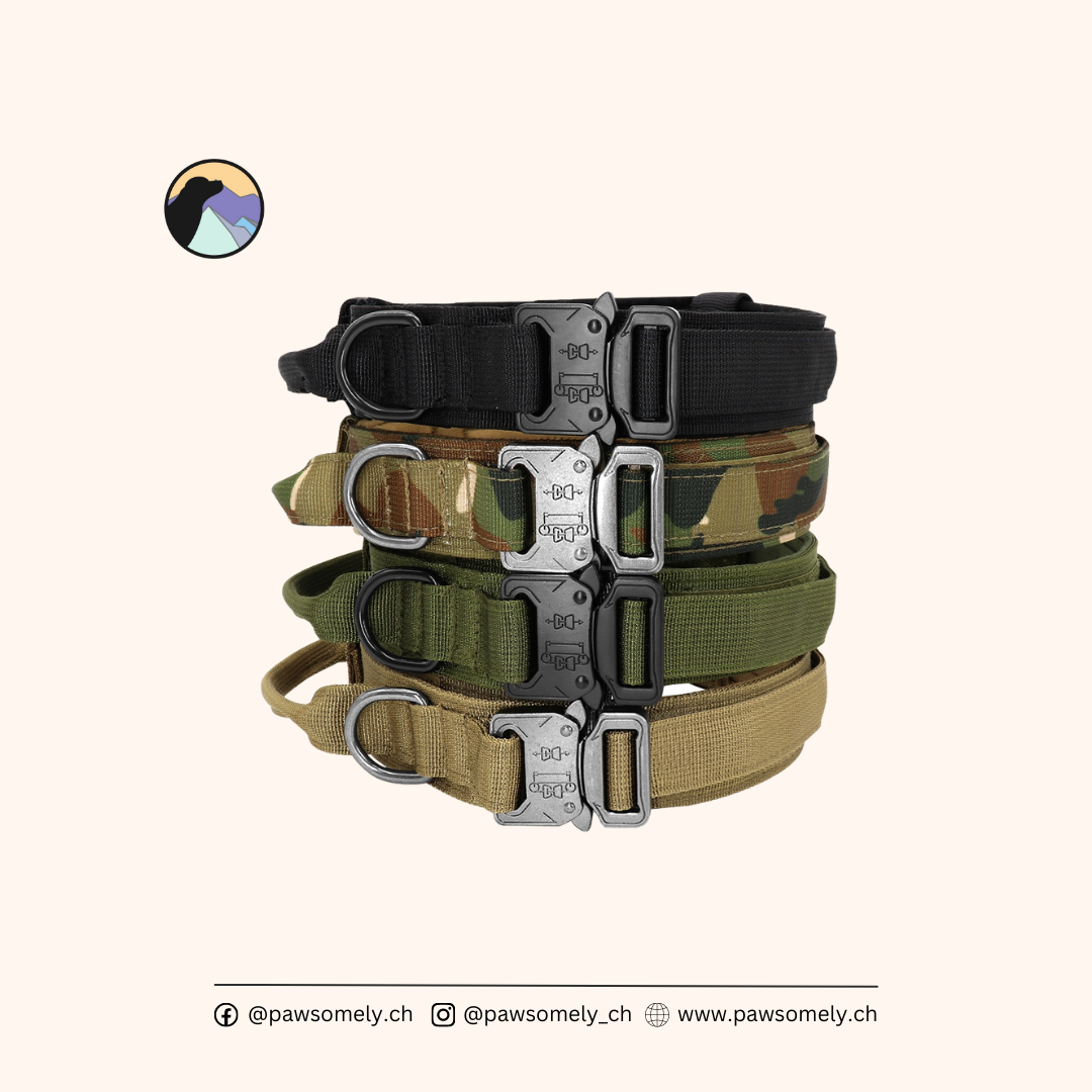 Army - Hundehalsband/ Halsband-Leinen-Set