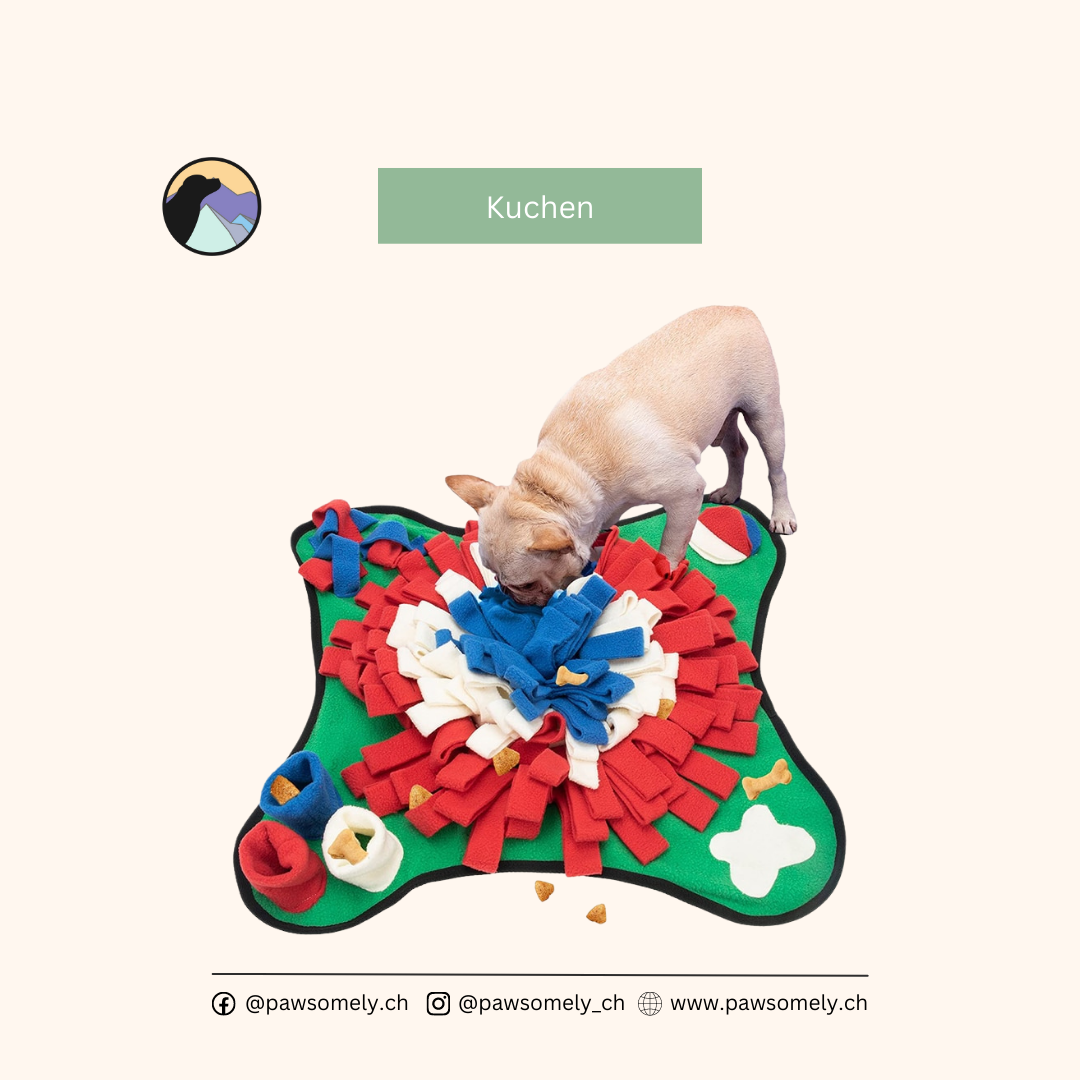 Snuffle Mat für Hunde - Gross