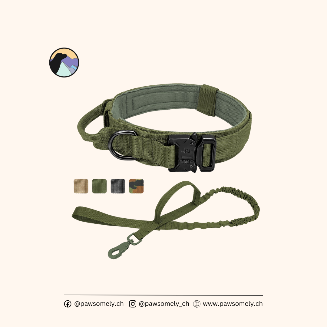 Army - Hundehalsband/ Halsband-Leinen-Set