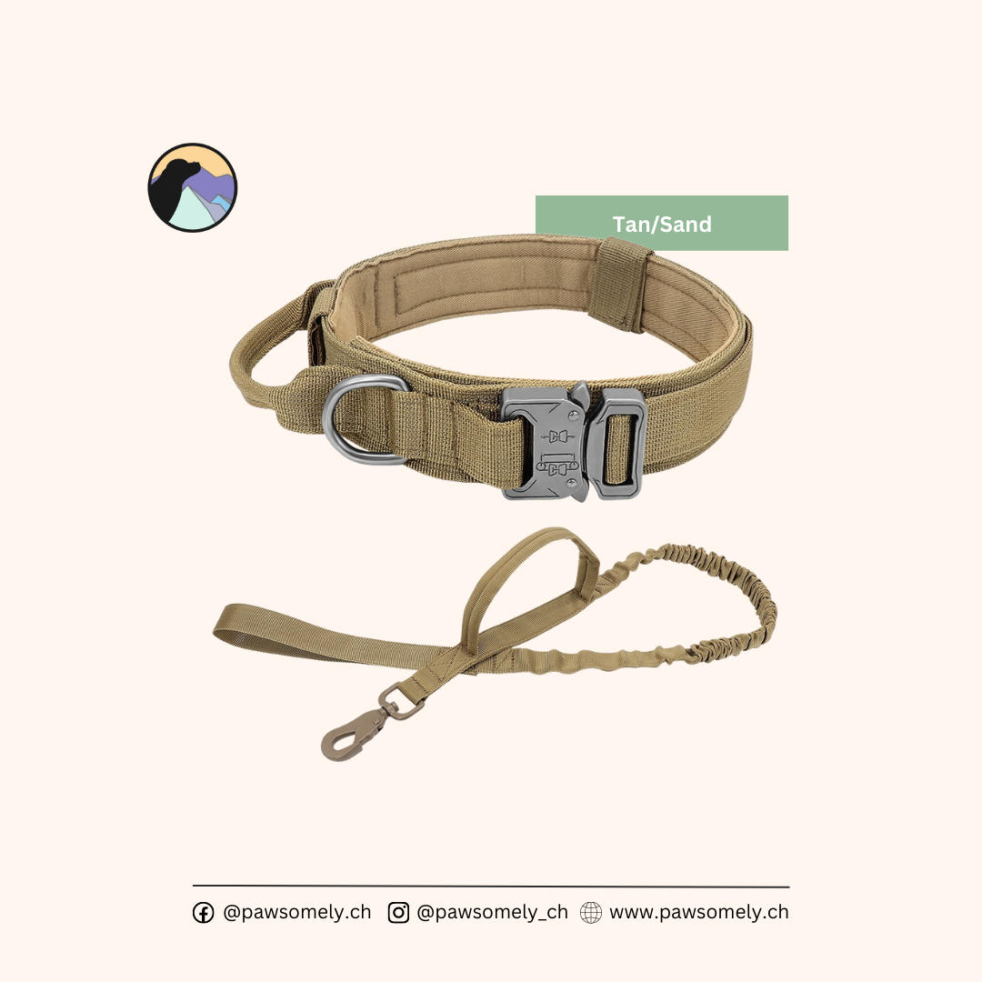 Army - Hundehalsband/ Halsband-Leinen-Set